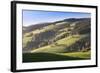 Glottertal Valley in Autumn, Black Forest, Baden Wurttemberg, Germany, Europe-Markus Lange-Framed Photographic Print