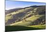 Glottertal Valley in Autumn, Black Forest, Baden Wurttemberg, Germany, Europe-Markus Lange-Mounted Photographic Print