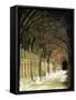 Gloucester Cathedral, Gloucester, Gloucestershire, England, United Kingdom-Adam Woolfitt-Framed Stretched Canvas