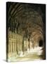 Gloucester Cathedral, Gloucester, Gloucestershire, England, United Kingdom-Adam Woolfitt-Stretched Canvas