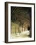 Gloucester Cathedral, Gloucester, Gloucestershire, England, United Kingdom-Adam Woolfitt-Framed Photographic Print