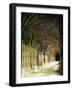 Gloucester Cathedral, Gloucester, Gloucestershire, England, United Kingdom-Adam Woolfitt-Framed Photographic Print