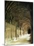 Gloucester Cathedral, Gloucester, Gloucestershire, England, United Kingdom-Adam Woolfitt-Mounted Photographic Print