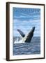 Gloucester, Massachusetts, Humpback Whale-Lantern Press-Framed Art Print