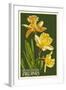 Gloucester, Virginia - Daffodil-Lantern Press-Framed Art Print