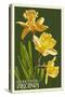 Gloucester, Virginia - Daffodil-Lantern Press-Stretched Canvas