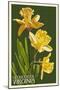 Gloucester, Virginia - Daffodil-Lantern Press-Mounted Art Print