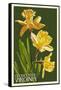 Gloucester, Virginia - Daffodil-Lantern Press-Framed Stretched Canvas