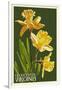 Gloucester, Virginia - Daffodil-Lantern Press-Framed Art Print