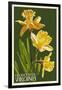 Gloucester, Virginia - Daffodil-Lantern Press-Framed Art Print