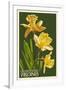 Gloucester, Virginia - Daffodil-Lantern Press-Framed Art Print