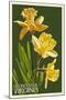 Gloucester, Virginia - Daffodil-Lantern Press-Mounted Art Print