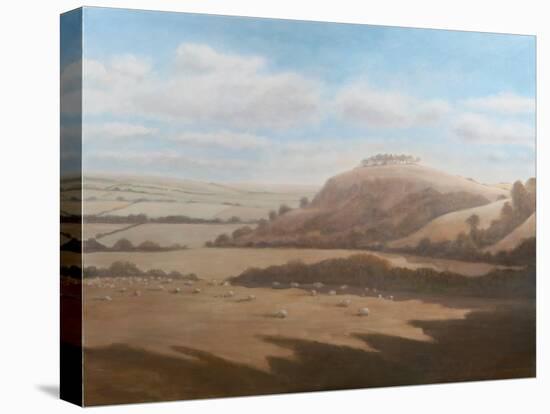 Gloucestershire Landscape, 2012-Lincoln Seligman-Stretched Canvas