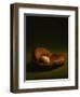 Glove and Baseball-James L. Amos-Framed Photographic Print