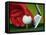 Gloved Hand Placing Golf Ball on Tee-null-Framed Stretched Canvas
