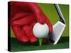 Gloved Hand Placing Golf Ball on Tee-null-Stretched Canvas