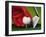 Gloved Hand Placing Golf Ball on Tee-null-Framed Photographic Print