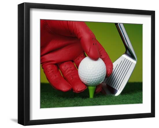 Premium Photographic Print, , large