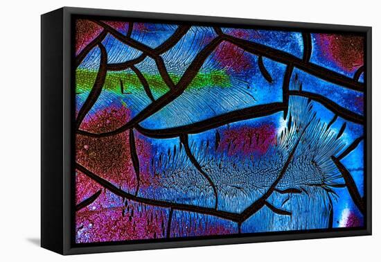 Glow in the Dark 2-Ursula Abresch-Framed Stretched Canvas