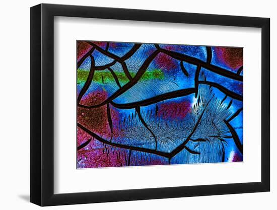 Glow in the Dark 2-Ursula Abresch-Framed Photographic Print