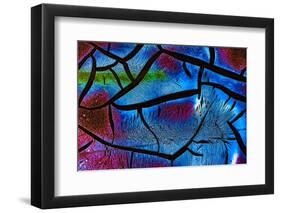 Glow in the Dark 2-Ursula Abresch-Framed Photographic Print