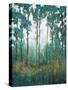 Glow in the Forest I-Tim OToole-Stretched Canvas