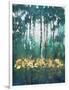 Glow in the Forest II-Tim OToole-Framed Art Print