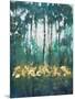 Glow in the Forest II-Tim OToole-Mounted Art Print