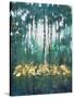 Glow in the Forest II-Tim OToole-Stretched Canvas