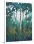 Glow in the Forest II-Tim OToole-Framed Art Print