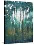 Glow in the Forest II-Tim OToole-Stretched Canvas