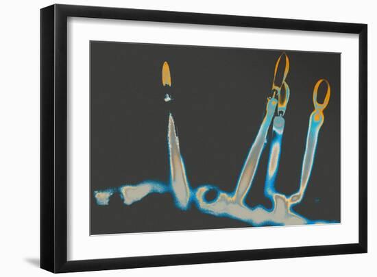 Glow of the Shamus, 2016-Joy Lions-Framed Giclee Print
