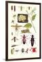 Glow-Worm, Lacewing Fly, Grasshopper,Scarlet Spider-James Sowerby-Framed Premium Giclee Print