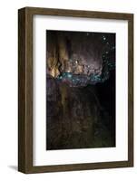 Glow Worms in Waitomo Caves, Waikato Region, North Island, New Zealand, Pacific-Matthew Williams-Ellis-Framed Photographic Print