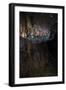 Glow Worms in Waitomo Caves, Waikato Region, North Island, New Zealand, Pacific-Matthew Williams-Ellis-Framed Photographic Print