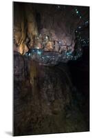 Glow Worms in Waitomo Caves, Waikato Region, North Island, New Zealand, Pacific-Matthew Williams-Ellis-Mounted Photographic Print