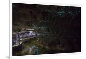 Glow Worms in Waitomo Caves, Waikato Region, North Island, New Zealand, Pacific-Matthew Williams-Ellis-Framed Photographic Print