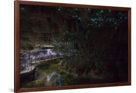 Glow Worms in Waitomo Caves, Waikato Region, North Island, New Zealand, Pacific-Matthew Williams-Ellis-Framed Photographic Print