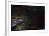 Glow Worms in Waitomo Caves, Waikato Region, North Island, New Zealand, Pacific-Matthew Williams-Ellis-Framed Photographic Print