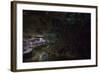 Glow Worms in Waitomo Caves, Waikato Region, North Island, New Zealand, Pacific-Matthew Williams-Ellis-Framed Photographic Print