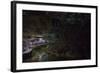 Glow Worms in Waitomo Caves, Waikato Region, North Island, New Zealand, Pacific-Matthew Williams-Ellis-Framed Photographic Print