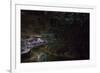 Glow Worms in Waitomo Caves, Waikato Region, North Island, New Zealand, Pacific-Matthew Williams-Ellis-Framed Photographic Print