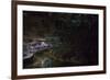 Glow Worms in Waitomo Caves, Waikato Region, North Island, New Zealand, Pacific-Matthew Williams-Ellis-Framed Photographic Print