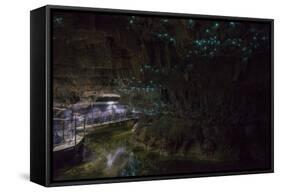 Glow Worms in Waitomo Caves, Waikato Region, North Island, New Zealand, Pacific-Matthew Williams-Ellis-Framed Stretched Canvas