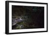 Glow Worms in Waitomo Caves, Waikato Region, North Island, New Zealand, Pacific-Matthew Williams-Ellis-Framed Photographic Print