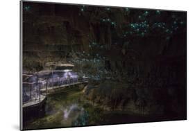 Glow Worms in Waitomo Caves, Waikato Region, North Island, New Zealand, Pacific-Matthew Williams-Ellis-Mounted Photographic Print