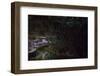 Glow Worms in Waitomo Caves, Waikato Region, North Island, New Zealand, Pacific-Matthew Williams-Ellis-Framed Photographic Print