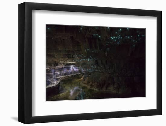 Glow Worms in Waitomo Caves, Waikato Region, North Island, New Zealand, Pacific-Matthew Williams-Ellis-Framed Photographic Print