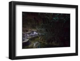 Glow Worms in Waitomo Caves, Waikato Region, North Island, New Zealand, Pacific-Matthew Williams-Ellis-Framed Photographic Print