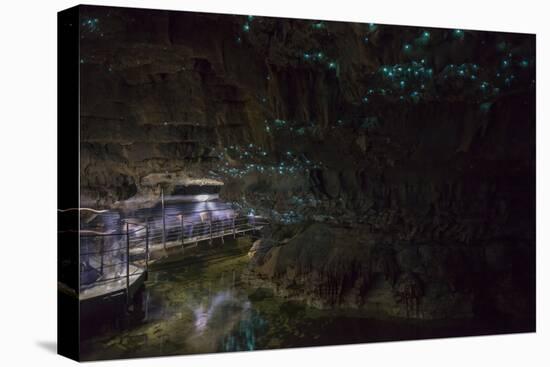 Glow Worms in Waitomo Caves, Waikato Region, North Island, New Zealand, Pacific-Matthew Williams-Ellis-Stretched Canvas